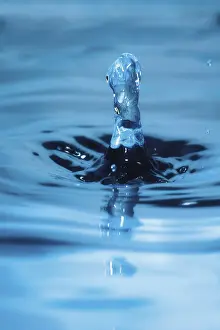 Indoor Studio Photography Drucke: Drop of water