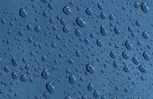Water Drops Drucke: Drops of water