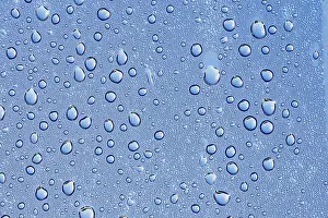 Dew Drop Drucke: Drops of water on a blue surface