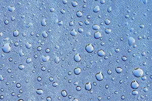 Dew Drop Germany Drucke: Drops of water on a blue surface