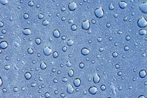 Dew Drop Germany Drucke: Drops of water on a blue surface
