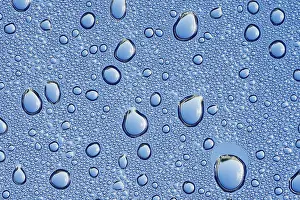 No People Water Scene Drucke: Drops of water on a blue surface