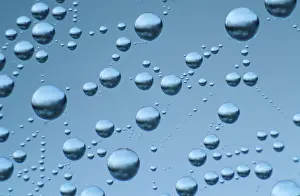 Water Droplets On Spider Web Drucke: Drops of water in spider web