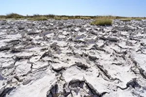 Etosha National Park Namibia Drucke: Drought mud patterns with cracks