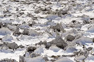 Etosha National Park Namibia Drucke: Drought mud patterns with cracks on the ground