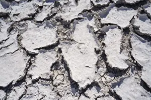 Etosha National Park Namibia Drucke: Drought mud patterns with cracks on the ground