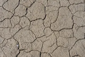Spanish Desert Landscape Drucke: Dry, cracked earth forms a textured pattern