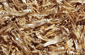 Dried Fish Drucke: Dry fish
