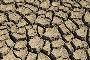 North Sea Coastline Landscape Drucke: Dry mudflat, torn up mudflat bottom