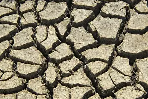 Northern German Coastline Drucke: Dry mudflat, torn up mudflat bottom
