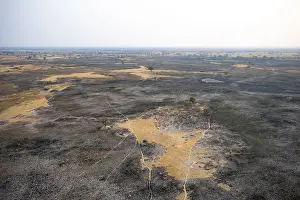 Drucke von Trockenzeit, Struktur und Muster von Pfaden, verbranntes Landschaftsbild, Luftaufnahme des Okavango-Deltas, in der Nähe von Maun, Okavango-Delta, Botswana Maun Drucke: Trockensaison, Struktur und Muster von Pfaden.