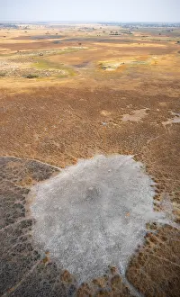 Drucke von Trockensaison, Struktur und Muster der Wege, Landschaft, Luftbild des Okavango-Deltas, in der Nähe von Maun, Okavango-Delta, Botswana Maun Drucke: Trockensaison, Struktur und Muster von Pfaden.
