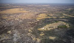Drucke von Trockensaison, Struktur und Muster von Pfaden, verbrannter Landschaft, Luftbild des Okavango-Deltas, in der Nähe von Maun, Okavango-Delta, Botswana Maun Drucke: Trockensaison, Struktur und Muster von Pfaden.