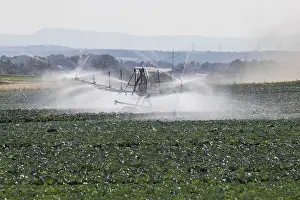 Deserted Farm Fields Drucke: Dryness in the fields is causing problems for farmers and vegetable growers