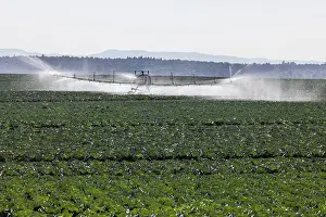 Southern Germany Countryside Drucke: Dryness in the fields is causing problems for farmers and vegetable growers