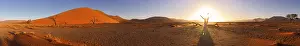 Namib Desert Sunset Drucke: Dune 45, dead tree, sunset, Sossusvlei, Namibia