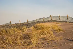 Northern Germany Seaside Resort Drucke: Dune on the beach at Warnemunde
Dune on the beach at Warnemnde