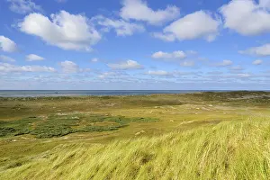 Dune Landscape Germany Drucke: Dune landscape with blue clouds