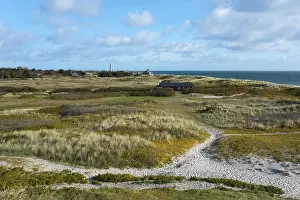 Skagen Vippefyr Drucke: Dune landscape with the grey lighthouse in the background