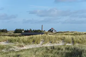 North Jutland Scenery Drucke: Dune landscape with the grey lighthouse in the background