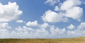 Sandy Dune Landscape Europe Drucke: Dune landscape and lighthouse with blue sky at Ellenbogen