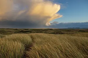 Dark Cloudy Skies Drucke: Dune Landscape with Thundercloud