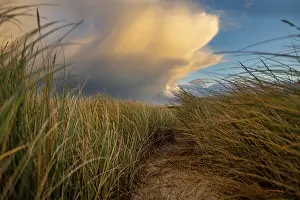 Sylt Island Photography Drucke: Dune Landscape with Thundercloud