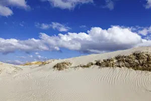 Northern Germany Coast Drucke: In front of the dunes