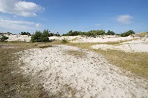 Germany Nature Reserves Drucke: Dunes, DarBer Ort, DarB