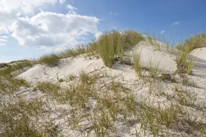 Deserted Dunes In Germany Drucke: Dunes, DarBer Ort, DarB