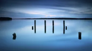 German Federal Republic Lake Views Drucke: Dusk at the Muritz, Posts in the water