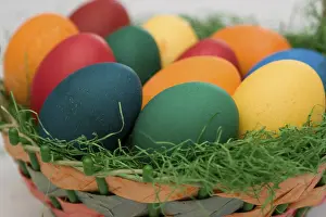 Easter Egg Basket Drucke: Dyed eggs lying in an easter basket