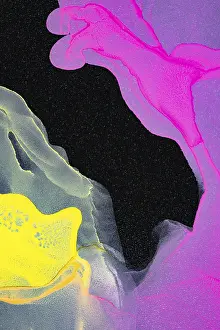 Colorful Background Design Drucke: A dynamic abstract artwork featuring splashes of neon pink