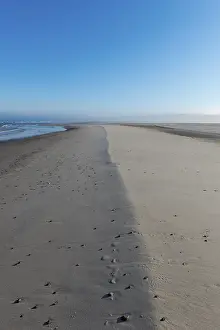 Uninhabited Nordic Coastline Drucke: Early mist over the empty beach