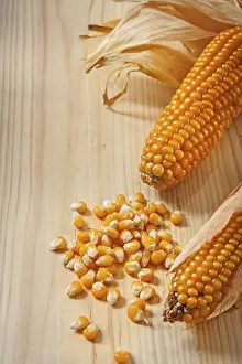 Gourmet Meal Ingredients Drucke: Ears of corn composition