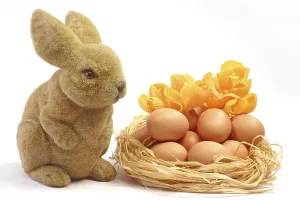 Spring Heralds Drucke: Easter arrangement on a light background Fresh brown eggs composition with Easter Bunny