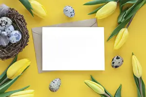 Flat Lay Greeting Card Drucke: Easter background with quail nest