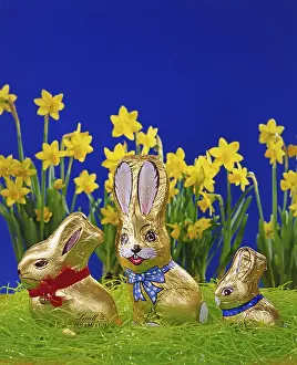 Chocolate Easter Bunny Drucke: Easter bunny made of chocolate