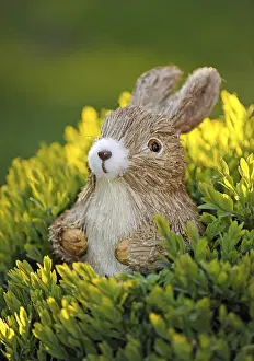 Uninhabited Desert Landscape Drucke: Easter bunny figure