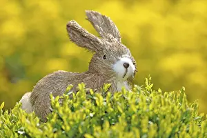Symbolic Easter Image Drucke: Easter bunny figure