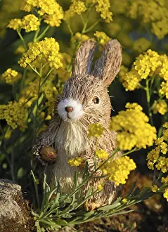 Symbolic Easter Image Drucke: Easter bunny figure