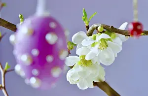 Traditional Easter Decoration Drucke: Easter, Easter bouquet with colorful Easter eggs
