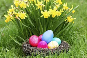 Springtime Landscape Photography Drucke: Easter, Easter eggs, Spring, Spring meadow