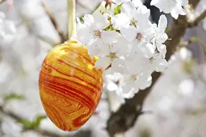 Decorated Easter Eggs Drucke: Easter egg and cherry blossoms