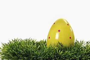 Empty Studio Background Photo Drucke: Easter egg on grass