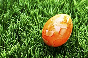 Traditional Easter Eggs Drucke: Easter egg on a lawn