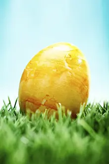 Painted Easter Eggs Drucke: Easter egg on a lawn