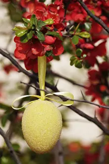 Christianity In Germany Drucke: Easter egg, March, Germany