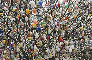 German Easter Traditions Drucke: Easter egg tree, Germany