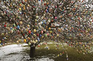 Traditional German Easter Eggs Drucke: Easter egg tree, Germany